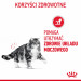 Royal Canin Urinary Care Trockenfutter für Katzen 4 kg - Fotogalerie 9
