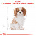 Royal Canin BHN Cavalier King Charles Spaniel Puppy - Trockenfutter für Welpen - 1,5 kg - Fotogalerie 8