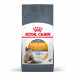ROYAL CANIN Hair&Skin Care Adult - trockenfutter für Katzen - 400g - Fotogalerie 1