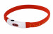 HILTON LED Silikon 1.4x0.8x40 cm mit USB - Hundehalsband - Fotogalerie 7