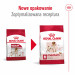 ROYAL CANIN SHN Medium Adult - trockenfutter für Hunde - 15kg - Fotogalerie 12