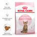 Royal Canin Kitten Sterilised Katzen-Trockenfutter 3,5 kg Geflügel - Fotogalerie 6