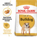ROYAL CANIN Bulldog Adult - Trockenfutter für Hunde - 12 kg - Fotogalerie 8
