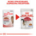 ROYAL CANIN FHN Instinctive in Jelly - Nassfutter für ausgewachsene Katzen - 12x85g - Fotogalerie 4