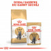 Royal Canin British Shorthair Adult Katzen-Trockenfutter 4 kg - Fotogalerie 4