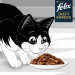 FELIX Tasty Shreds mit Rindfleisch und Huhn - 4x 80g - Fotogalerie 4