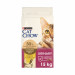 Purina Cat Chow Special Care Urinary Tract Health- Katzen-Trockenfutter 15 kg Adult Huhn - Fotogalerie 1