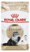 Royal Canin Persian Katzen-Trockenfutter 4 kg Adult Mais, Geflügel - Fotogalerie 10