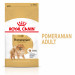 Royal Canin Pomeranian Adult - Trockenfutter für Hunde - 3 kg - Fotogalerie 6