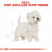 Royal Canin BHN West Highland White Terrier Adult - Trockenfutter für ausgewachsene Hunde - 3kg - Fotogalerie 7