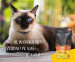 JOSERA Hühnerfilet - Nassfutter für Katzen - 70 g - Fotogalerie 2