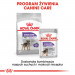 ROYAL CANIN Mini Sterilised - Trockenfutter für ausgewachsene Hunde, kleine Rassen, nach Sterilisation - 1kg - Fotogalerie 4