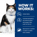 HILL'S Prescription Diet Thyroid Care Feline y/d - Katzenfutter für Katzen mit Schilddrüsenerkrankungen - Dose 12x156g - Fotogalerie 4