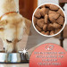 GILPA Kennel - trockenfutter für Hunde - 15kg - Fotogalerie 2