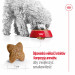 ROYAL CANIN Adult Mini S - trockenfutter für Hunde - 8kg - Fotogalerie 2