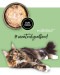 3COTY MIX 4 Geschmacksrichtungen – Nassfutter für Katzen – 24x80g - Fotogalerie 28