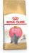 Royal Canin British Shorthair Kitten Katzen-Trockenfutter 2 kg Geflügel, Reis, Gemüse - Fotogalerie 9
