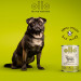 OLLO Pure Beef and Green tripe - Nassfutter für Hunde - 400g - Fotogalerie 8