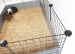 C&C Modular Käfig 3x2 110x75 cm Meerschweinchen, Igel, silbergrau - Fotogalerie 9