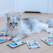 ANIMAL ISLAND Turkey / White fish / Beef / Chicken Fillets in broth - nassfutter für Katzen - 80x85g - Fotogalerie 2