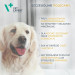 VET EXPERT Multivitamin – Vitamin- und Mineralstoffpräparat für Hunde und Katzen – 30 Kapseln. - Fotogalerie 3