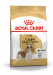Futter Royal Canin SHN Rasse Cavalier K C 1,5 kg - Fotogalerie 1