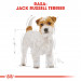 ROYAL CANIN Jack Russell Adult - Trockenfutter für Hunde - 7,5 kg - Fotogalerie 7