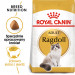 Royal Canin FBN Ragdoll Adult Trockenfutter für Katzen 2 kg - Fotogalerie 4