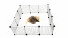  C&C Modularer Hundeauslauf 145x75x37 cm - Fotogalerie 11