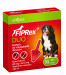 FIPREX Duo Parasitentropfen für Hunde XL - 4,02 ml - Fotogalerie 1