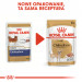 ROYAL CANIN Chihuahua - Paket 12x85g - Fotogalerie 4