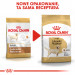 ROYAL CANIN Labrador Adult - Trockenfutter für Hunde - 12 kg - Fotogalerie 3