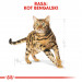 Royal Canin Bengal Adult Katzen-Trockenfutter 2 kg Geflügel, Gemüse - Fotogalerie 9