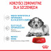 ROYAL CANIN SHN Medium Puppy in Sauce - Nassfutter für Welpen - 10x140g - Fotogalerie 8