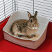 Fearplast Toilette für Nagetiere - Fotogalerie 2