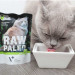 RAW PALEO Adult Cat Wild – Nassfutter für Katzen – 100 g - Fotogalerie 3