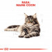 ROYAL CANIN FBN Maine Coon - Nassfutter für Katzen - Beutel 12x 85g - Fotogalerie 6