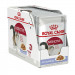 ROYAL CANIN FHN Instinctive in Jelly - Nassfutter für ausgewachsene Katzen - 12x85g - Fotogalerie 9