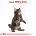 ROYAL CANIN Maine Coon Kitten - Trockenfutter für Katzen - 4 kg - Fotogalerie 3