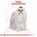 Royal Canin Maltese Adult Mais, Geflügel 0,5 kg - Fotogalerie 7