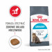 Royal Canin Urinary Care Trockenfutter für Katzen 4 kg - Fotogalerie 2