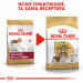 Futter Royal Canin SHN Rasse Cavalier K C 1,5 kg - Fotogalerie 2