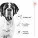 ROYAL CANIN Giant Adult - Trockenfutter für Hunde - 15 kg - Fotogalerie 9