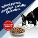 PURINA Felix Countryside Sensations - trockenfutter für Katzen - 1kg - Fotogalerie 5