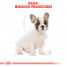ROYAL CANIN French Bulldog Puppy - Trockenfutter für Hunde - 3 kg - Fotogalerie 8