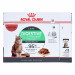 Royal Canin Digest Sensitive Care- Nassfutter für Katzen- 12x85g - Fotogalerie 4