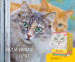 Josera Multipack - Filet Huhn, Ente, Pute-6x85 g - Fotogalerie 3