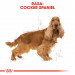 ROYAL CANIN Adult Cocker - Trockenfutter für Hunde - 12 kg - Fotogalerie 7