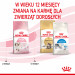ROYAL CANIN Kitten - Trockenfutter für Katzen - 2 kg - Fotogalerie 3