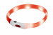 HILTON LED Silikon 1.4x0.8x40 cm mit USB - Hundehalsband - Fotogalerie 1